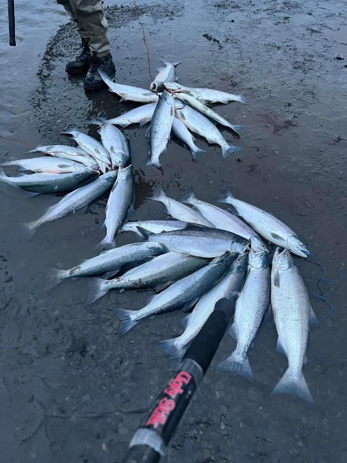 Resurrection River Rentals Seward Luaran gambar