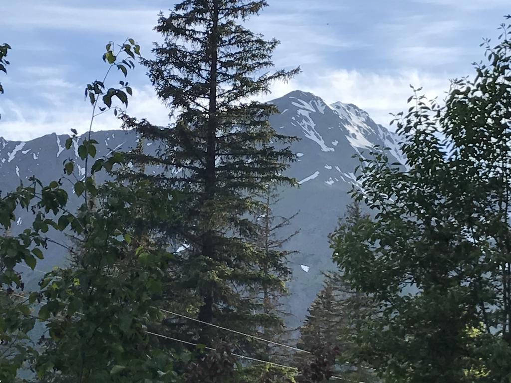 Resurrection River Rentals Seward Luaran gambar
